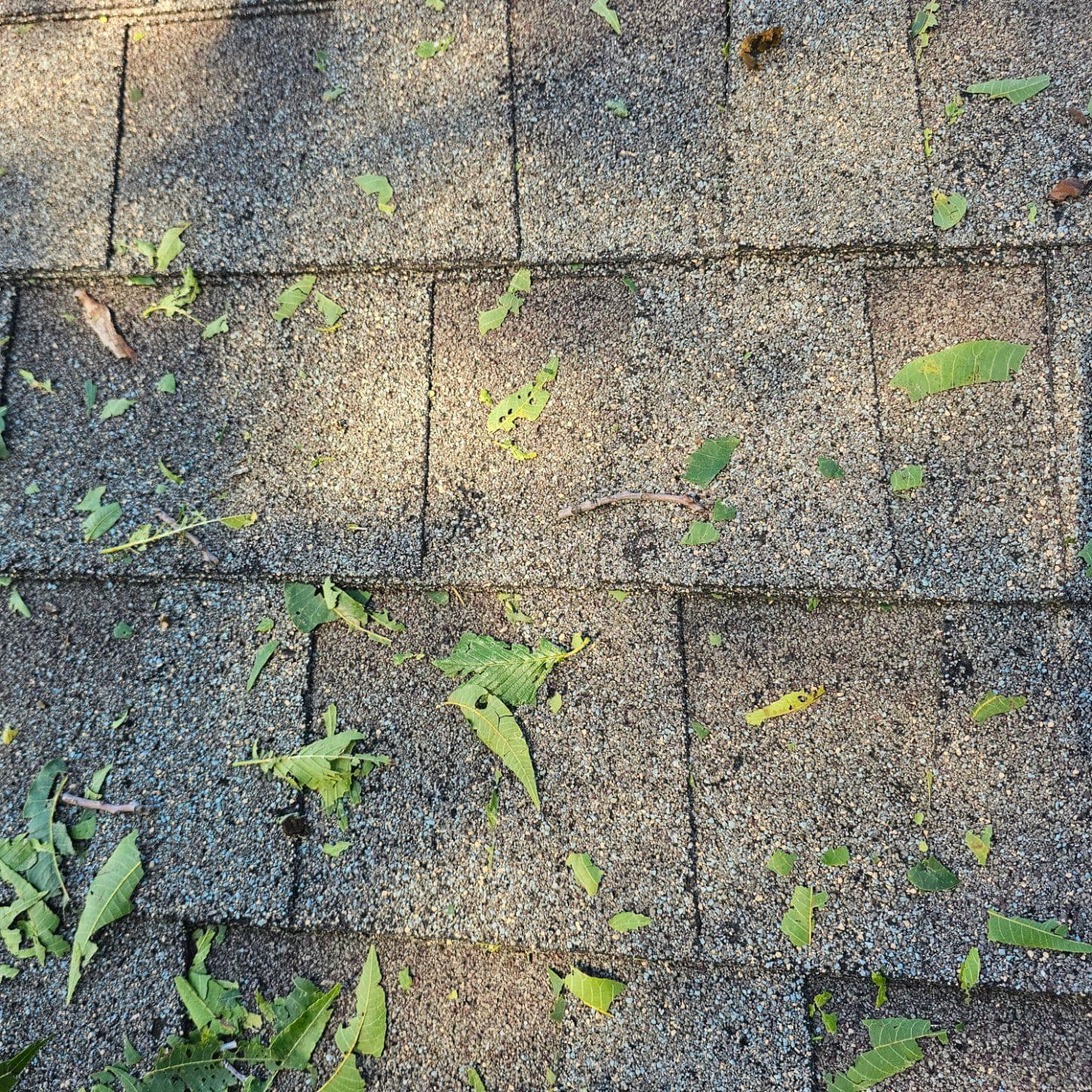 Project Detecting Hail Damage Early for Roof Peace of Mind image