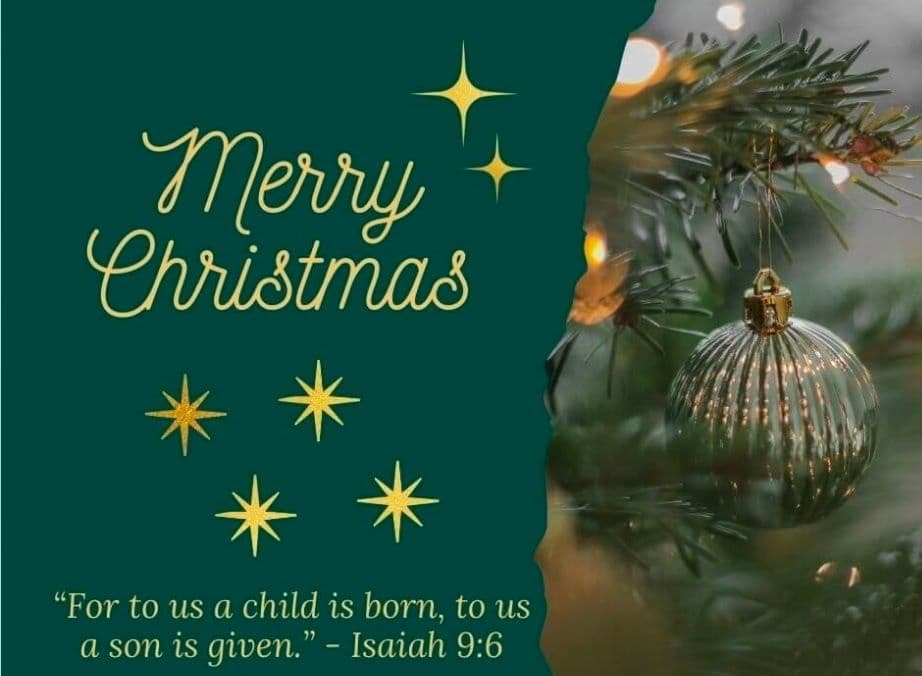 Project Season's Greetings from Rooftop Solutions DFW image