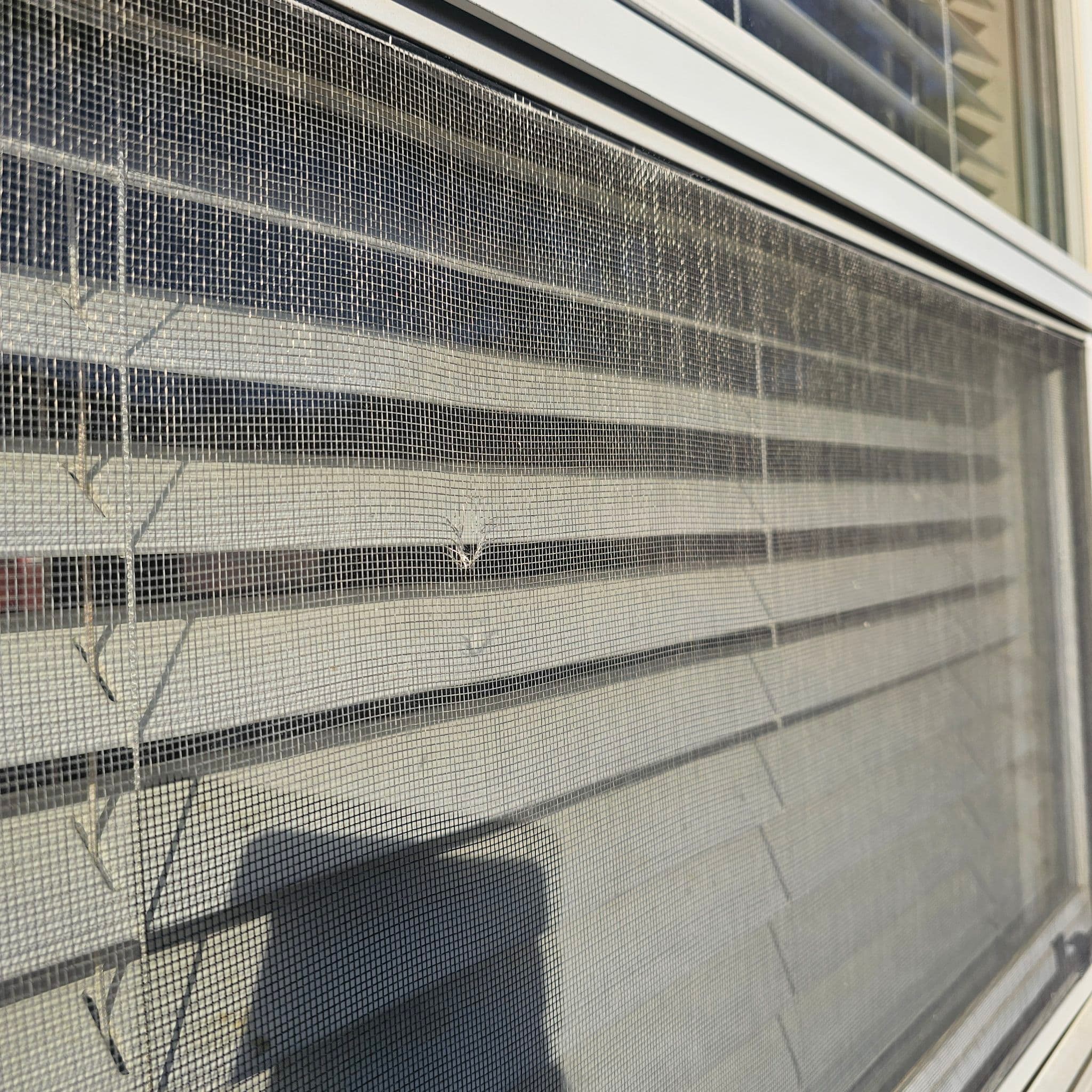 Project Detecting Home Damage Early Saves Time and Money image