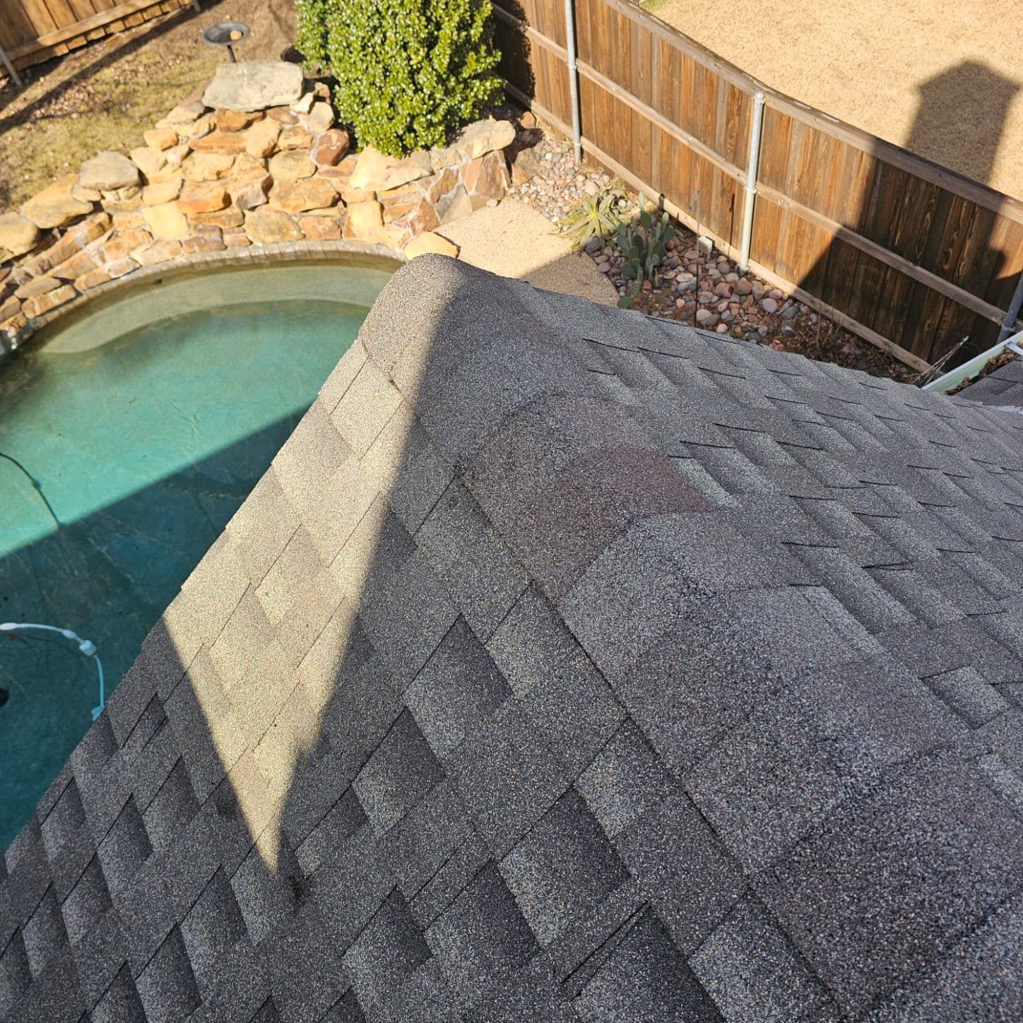 Quick Fix for Squirrel-Damaged Roof