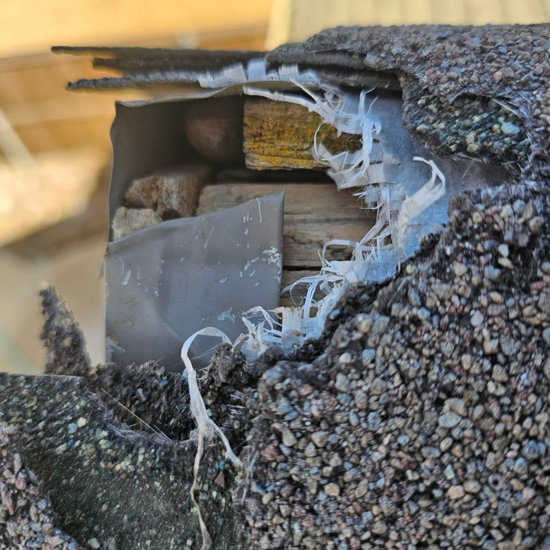 Gallery photos for Quick Fix for Squirrel-Damaged Roof: Image #1