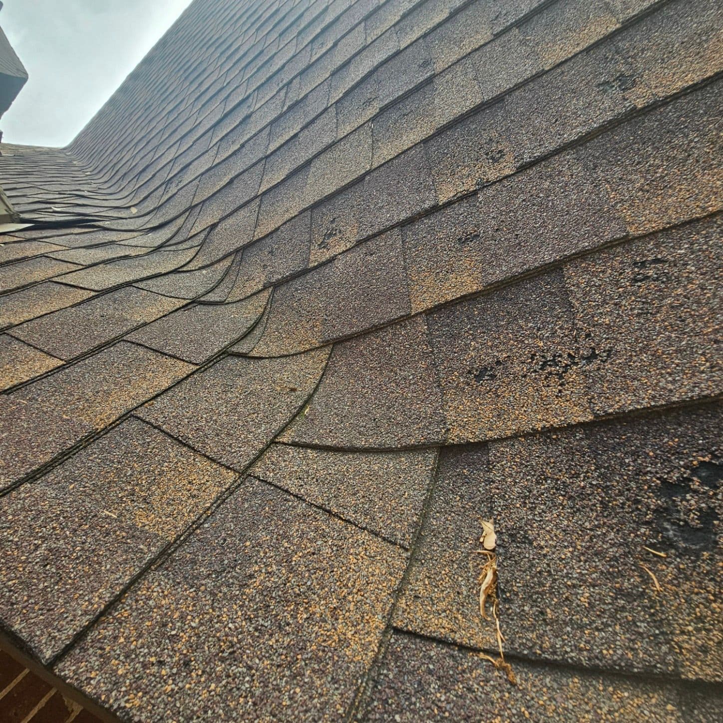 Project Identify Hidden Roof Damage Before It Costs Big image