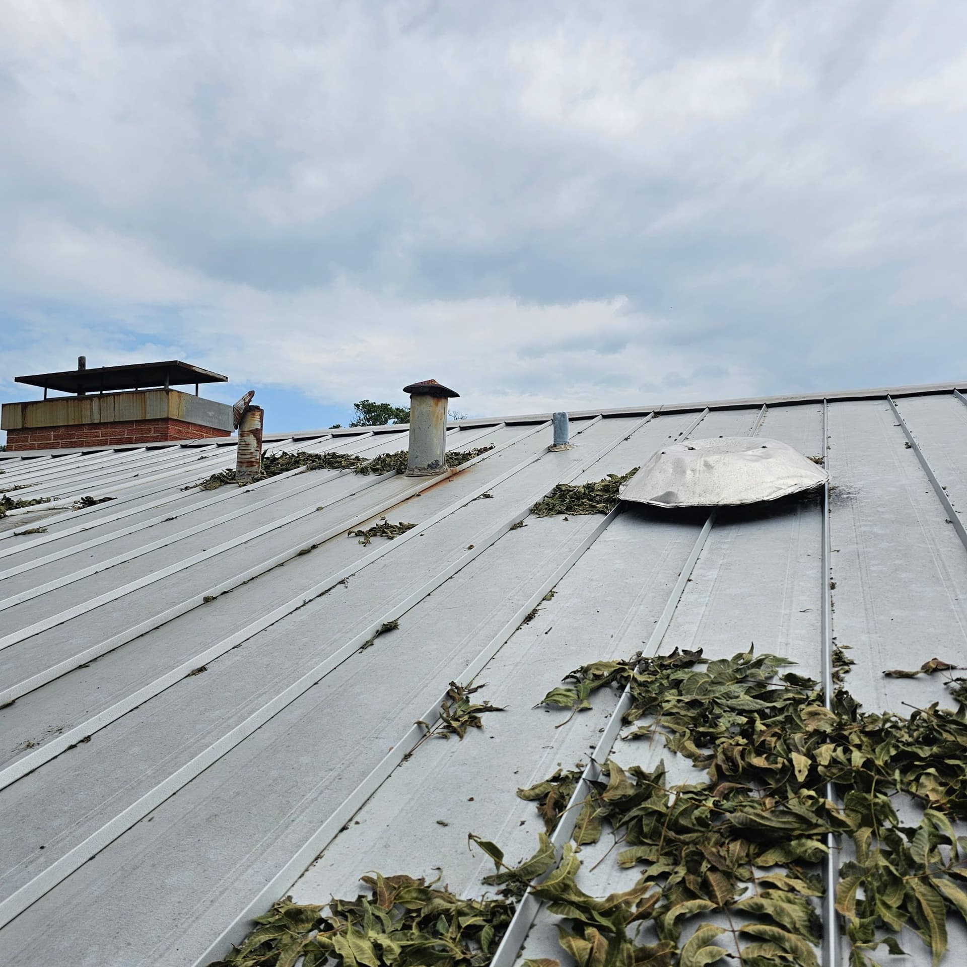 Effective Solutions for Metal Roof Hail Damage image