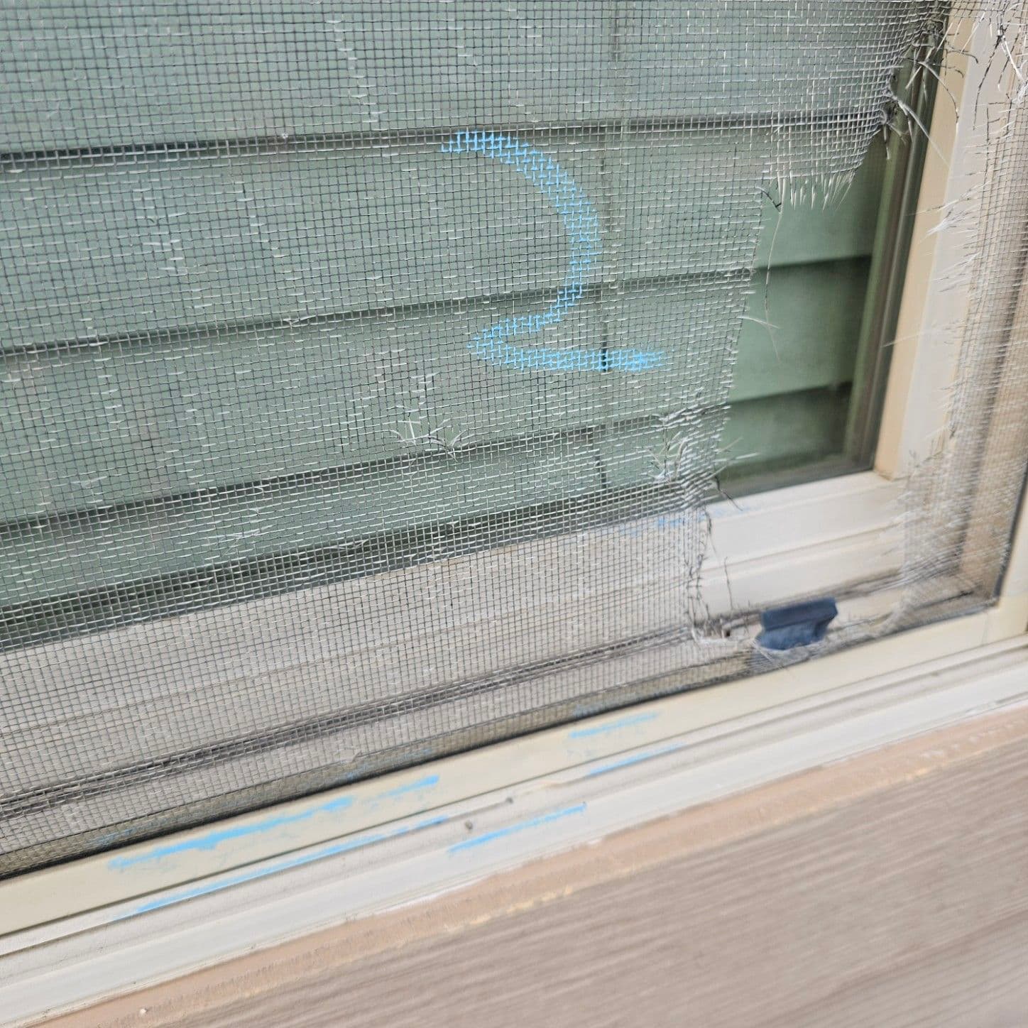 Comprehensive Window Replacement with Insurance Support image